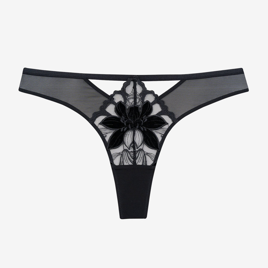 MIDNIGHT - Tanga