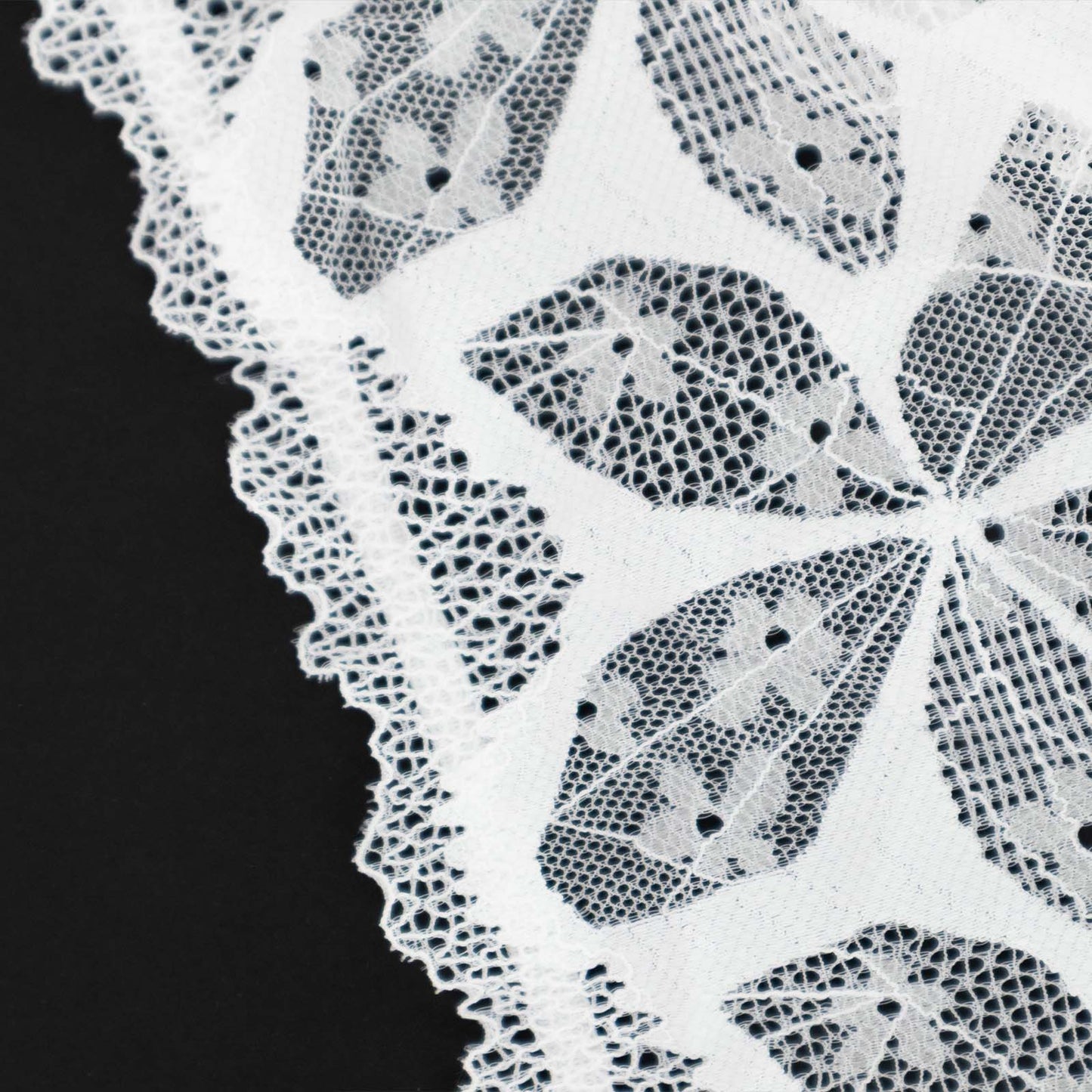 JASMIN Culotte